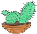 kaktus-cartoon